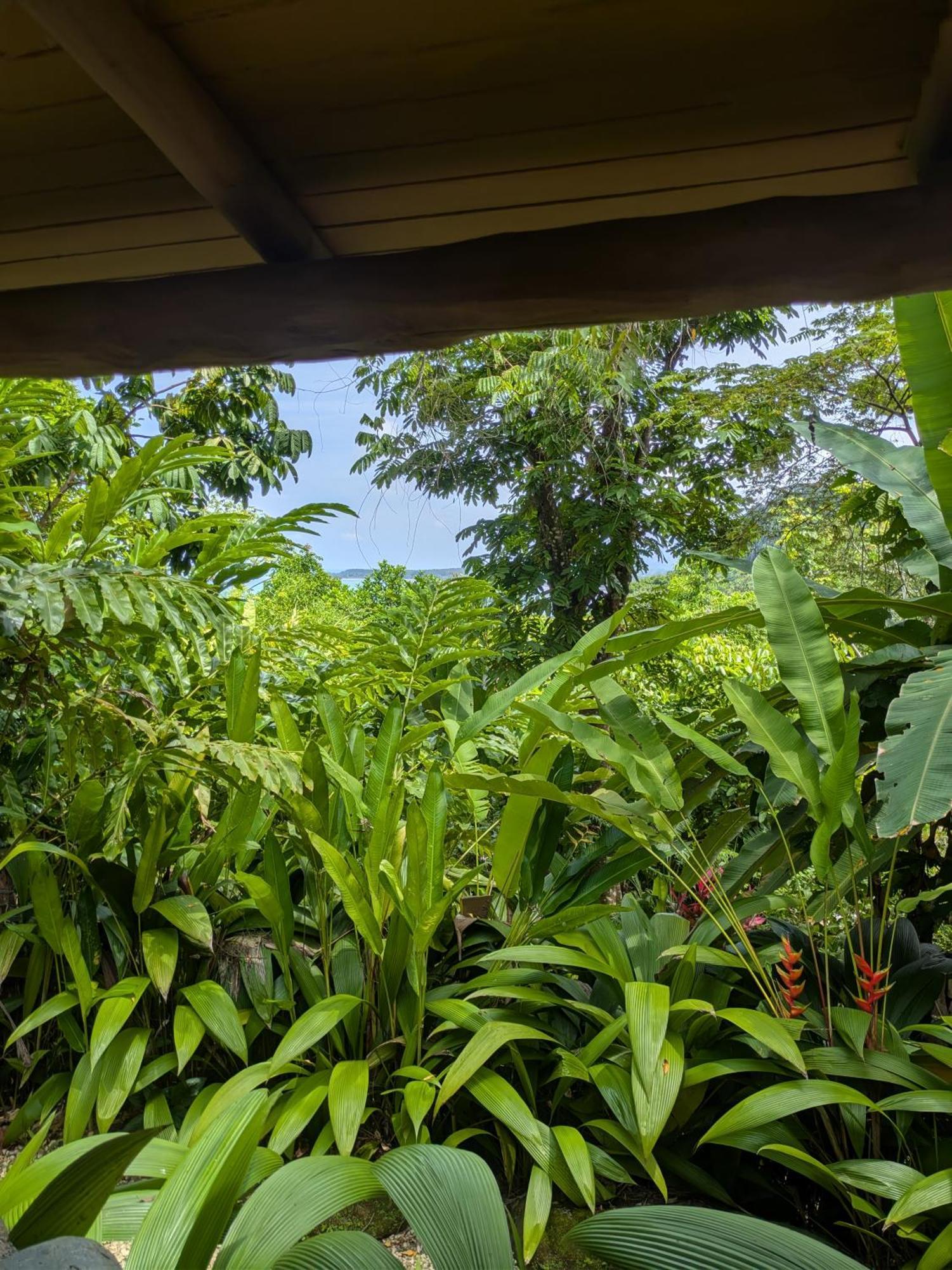 אוביטה La Cusinga Lodge מראה חיצוני תמונה